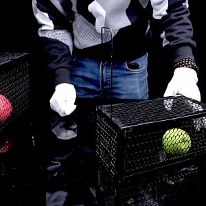 2 ตัว กรงดักหนูสปริง 3 ขนาด รวมโครงหนา กรงดักหนูแบบมีโครง กรงดักหนูสปริง กรงดักหนูนา กรงดักหนูเล็ก