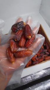 Kurma Mabroom Madinah Premium Jumbo Mabrom Dates 150g-250g-500g-1kg