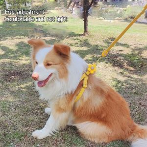 Mojioo สายรัดหน้าอกจูงสัตว์เลี้ยงปรับได้สำหรับจูงสุนัขแมวสุนัขสายสะพายไหล่เสื้อรัดอกแมวสายจูงสัตว์เลี้ยงสายจูงสุนัขเชือกด้วยเชือกขนาดขนาดเล็กและขนาดกลางสายจูงสุนัขโซ่หมา