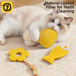 7o | Entertainment Bite Clean Tooth Teething Cat Toy