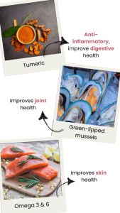 Bailey and Co Freeze Dried Meals 50g Sampler Pack