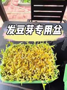 Automatic Bean Sprout Growth Tray