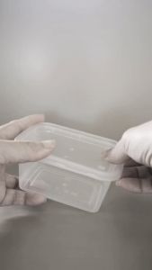 THINWALL KOTAK PERSEGI 250ML WADAH MAKANAN PLASTIK PLUS TUTUP BENING DM (25 PCS)