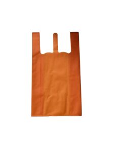 Ecobag-Your Every day Carry All-
