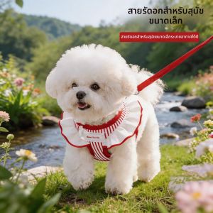 MIKI PAD | Vest Style Small Dog Pet Harness