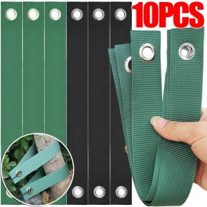 1/10ชิ้นเข็มขัดต้นไม้กันลมสำหรับใส่ป้องกันพายุเฮอริเคนตายตัวไนลอนแบบตายตัวรองรับการปลูกใหม่อุปกรณ์สวนสาขา