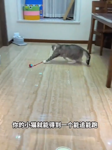 Cat Toy Cat Intelligence Cat Teasing Ball Self-Hi Relieving Stuffy Kitten Automatic Avoiding Electric Ball