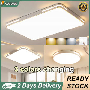 Gorgeous LED Ceiling Light: Modern Design & Versatile Lighting Solutions