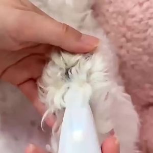 New Dog Beauty Trimmer Fully Waterproof Dog Trimmer with LED Light Dog Claw Trimmer Cat Claw Hair Trimmer Pet Claw Trimmer
