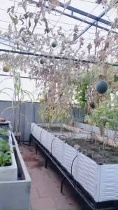 Combo 4 vách chậu lắp ghép. Vách chậu ghép thông minh  Chậu nhựa trồng cây  Chậu nhựa trồng rau  Chậu nhựa trồng hoa