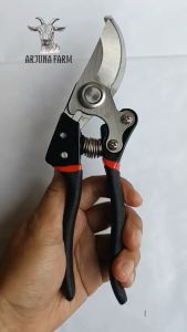 Gunting Kuku Ternak Domba Kambing Sapi Tipe 1 Hitam