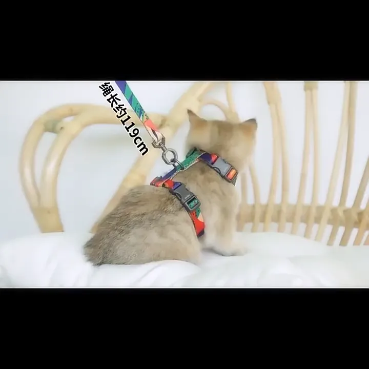 Upets PIDAN เซ็ตสายจูงสัตว์เลี้ยง 3in1