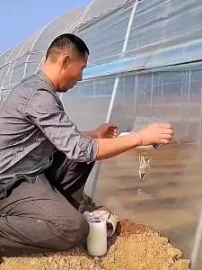 10M Greenhouse Film Repair Tape PE Waterproof Agriculture Film Repair Tape Multi-purpose Garden Orchard Greenhouse Protect Tools