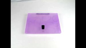 EAGLE Carry File Box With Handle Motif Oval / Map Plastik Tenteng F4 (Folio)