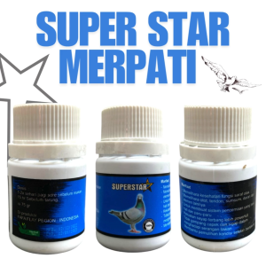 SUPER STAR MERPATI - 210 BUTIR