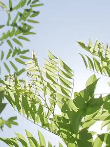 3 in 1 Humidifier พัดลม LED Night Light เครื่องฟอกอากาศ280ml แบบพกพา Ultrasonic Humidifier น้ำมันหอมระเหย aromatpy diffuser ห้องนอนรถ Air Humidifier Anti-Burn Humidifier สำหรับห้องนั่งเล่น