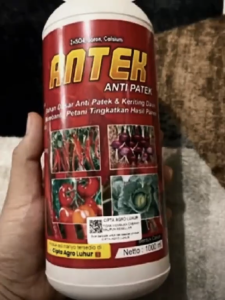 Pupuk Cair ANTEK 1 Liter – Anti Patek Daun & Keriting Daun | Nutrisi Tanaman Lengkap | Penyubur Perangsang Buah & Penambah Hasil Panen