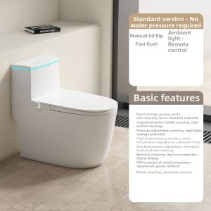 TEM | New Automatic Elderly Friendly Toilet with Tank