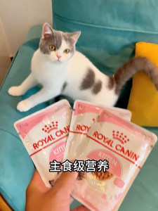 ROYAL CANIN 85gX12bags Cat Snacks Kittens Wet Food Cat Treat Multiplicity Nutrition Health Easy To Eat Digest Fattening