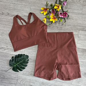 Bộ đồ tập gym yoga aerobic thể thao nữ áo bra kèm mút và quần đùi chất liệu thun lạnh quảng châu cao cấp BINSPORTS BN103