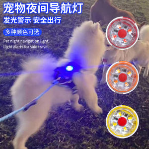 Pet Dog Night Walking Glowing Neck Brace Waterproof Charging Light up Pet Nightlight Harness Dog Leash Light up Accessories