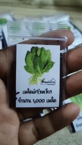 1000 เมล็ด ผักโขมใบเขียว เมล็ดผักโขมใบเขียว เมล็ดผักขม ผักขม ผักโขม เมล็ดผักขม เมล็ดผักโขม