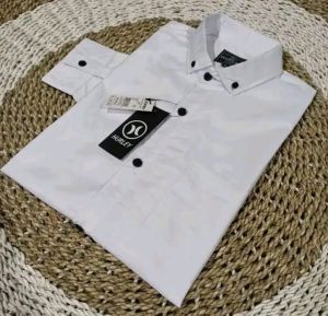Kemeja Polos Pria Kantoran Formal Lengan panjang warna Sofblue Bahan Katun Premium