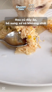 Combo 12 gói -  24 Gói - 48 gói - Pate Snappy Tom Premium trái cây 70gr cho Mèo - T3 PETS SHOP