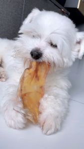 ไก่พันกระดูกเสี้ยวพระจันทร์ ทำจากกระดูกอ่อนวัวทั้งชิ้น  ขัดฟันสุนัขอย่างดี  ขนมสุนัข umm ขนมหมา 100g