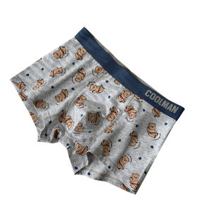JIAZINI | Pure Cotton Underwear Boys Teenagers Middle School High School Students Cute New Style Cotton Men Boxer Briefs Shorts