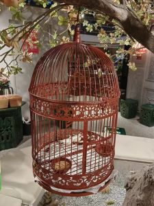 Bird Cage Pigeon Bird Cage round Big Brother Parrot Thrush Tiger Skin Brother Turtledove White Eye Xuanfeng Large Bird Cage