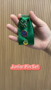 Complete GSP Pin Set Scouting Uniform Accessories | Twinkler Star Junior Senior | Theo Clothing