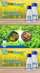 Thuốc Trừ Bệnh Tilt Super 300EC - Syngenta