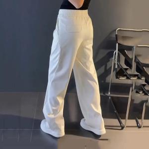 Spring 2025 Mens Fashion Straight Leg Sports Casual Pants Loose Fit High Waist Long Trousers Polyester Fiber Basic Color