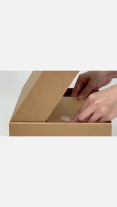 SENG06 - 30x21x7 cm - 20 Hộp carton nắp gài đóng hàng giá rẻ hộp gói hàng hộp quà thời trang