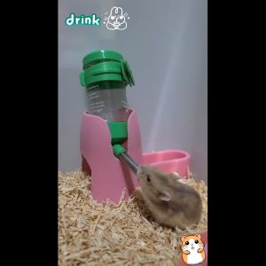 Bottle Stand Multifungsi Tempat Minum dan Makan Hamster