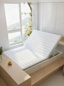 Spinal Protection Natural Coconut Fiber Mattress Hard