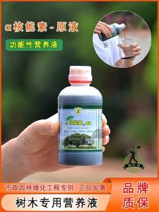 💗🙋♀️💗α核能素原液大树吊针液树木移栽专用注射浓缩营养液生根催芽肥料