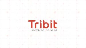 Tribit Flybuds 3/3s True Wireless Stereo Earbuds - Explosive Bass 100/150 Hours Playtime with Charging Case IPX7/IPX8 Waterproof USB C Charging Bluetooth 5.0/5.2 Wireless Earbuds Bluetooth Earbuds Earbuds Original Earphon 藍牙耳機 Gaming