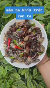 MẮM BA KHÍA ĐẶC SẢN TỨ DANH HỦ 500gr