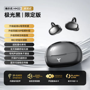 Sports Running Wireless Bluetooth Earphones Noise Reduction Long Battery Life Bone Conduction HILEO HAILEYOU 2025 New Model
