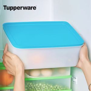 Tupperware | Food-Grade Freezer-Friendly Sealed Food Container 5.7L