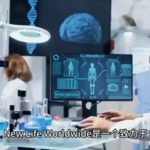 New Life Wheatgrass & Alfalfa Extract + Q10 120softgel(Halal) 浓缩小麦草与苜宿芽 +Q10 120粒