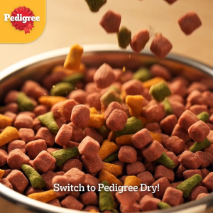 PEDIGREE Adult Dry Dog Food Chicken and Vegetable Flavor 10kg