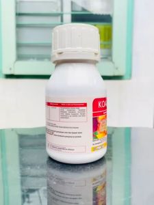 Insektisida KOALISI 240 SC kemasan  250 ml GRAHA AGRITECH PRIMA MANTAB