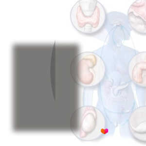 Williams Textbook of Endocrinology - 9780323932301 - C&E Bookshop