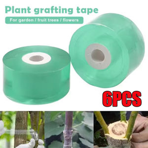 เทปพันกิ่งติดเองปิดแน่น6ชิ้นสายรัดสำหรับซ่อมพืชสวนย่อยสลายได้ตามธรรมชาติยืดหยุ่นโปร่งใสดีย่อยสลายได้ตามธรรมชาติ