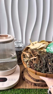 4 Vị Thảo Dược Hỗ Trợ Suy Thận Thận Hư (Cây Muối Quýt Gai Phèn Đen Sâm Đất) - 500g Mỗi Vị - Tốt cho Người Bệnh Thận