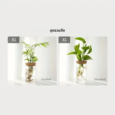 1 PCพืช Hydroponics เดสก์ท็อปแก้วแจกันสําหรับตกแต่งบ้านสถานีการขยายพันธุ์พืช Bud แจกันเดสก์ท็อป Hydroponics