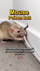 🔥Buy 10 Take 10🔥 Rat Poison Killer Mouse Repellent Rat Poison Rat Killer Dont Die in the Room Rodenticide Lason Sa Daga Mouse Rat Repellent